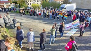 Protest gegen AfD: Höcke: Demonstranten sind „Knallköpfe“