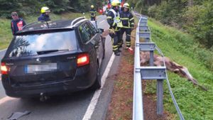 Unfall bei Schmiedefeld: Kollision mit Hirsch: Verletzte und Totalschaden