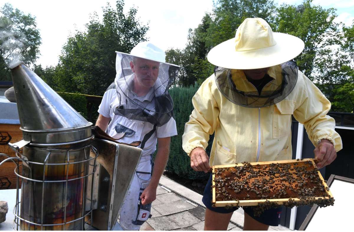 Die Hobbyimker Daniel Ruck (links) und Andreas Zohles bei der Kontrolle der Bienenstöcke.