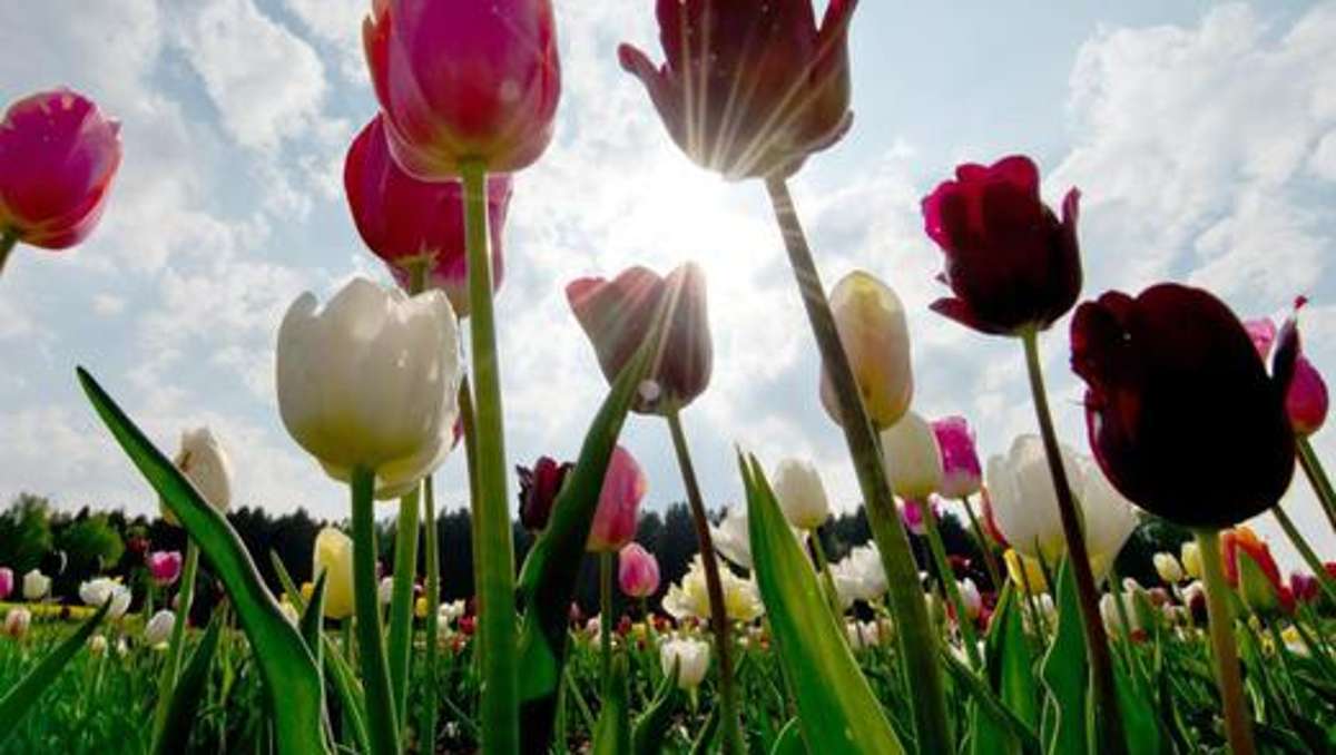 Thüringen: Zu Ostern wird der Frühling erwartet