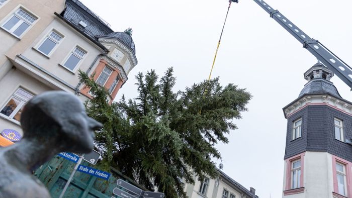In Ilmenau: Weihnachtsbäume sind eingeschwebt