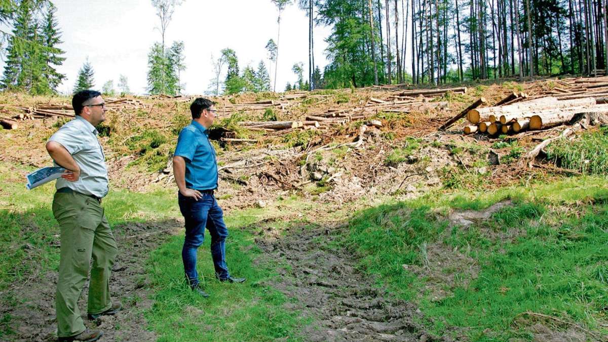 Schmalkalden: Schmalkalden - Topadresse unter den Forstämtern