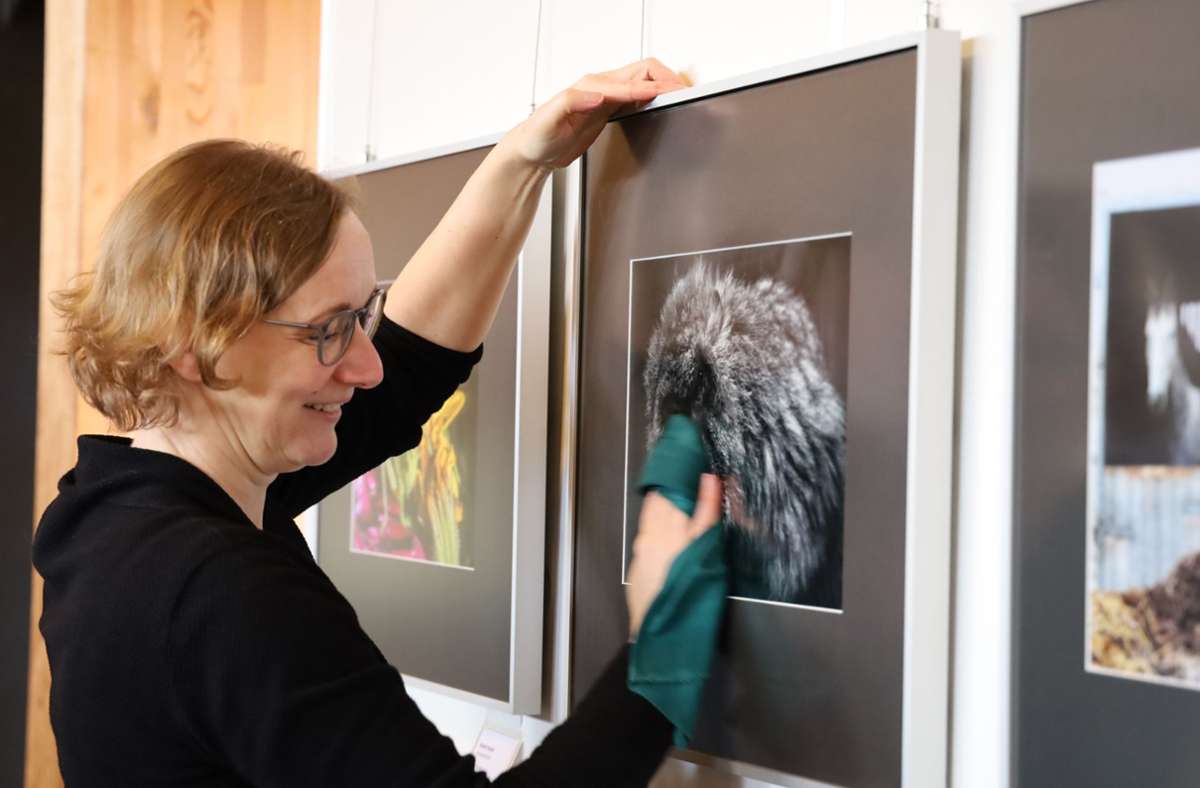 Museumschefin Claudia Krahnert poliert die Bilderrahmen, die frisch an die Wand gekommen sind. Foto: /Joachim Hanf