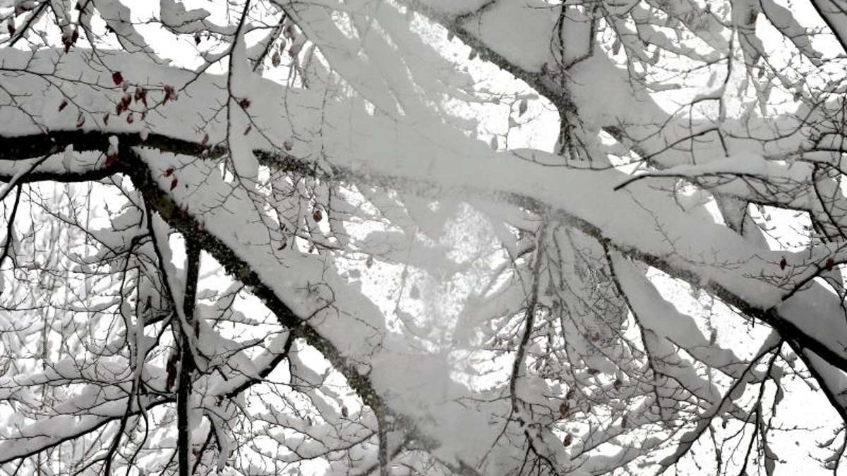 Thüringen: Keine Entspannung der Lage - weitere Schneefälle bis zum Wochenstart erwartet