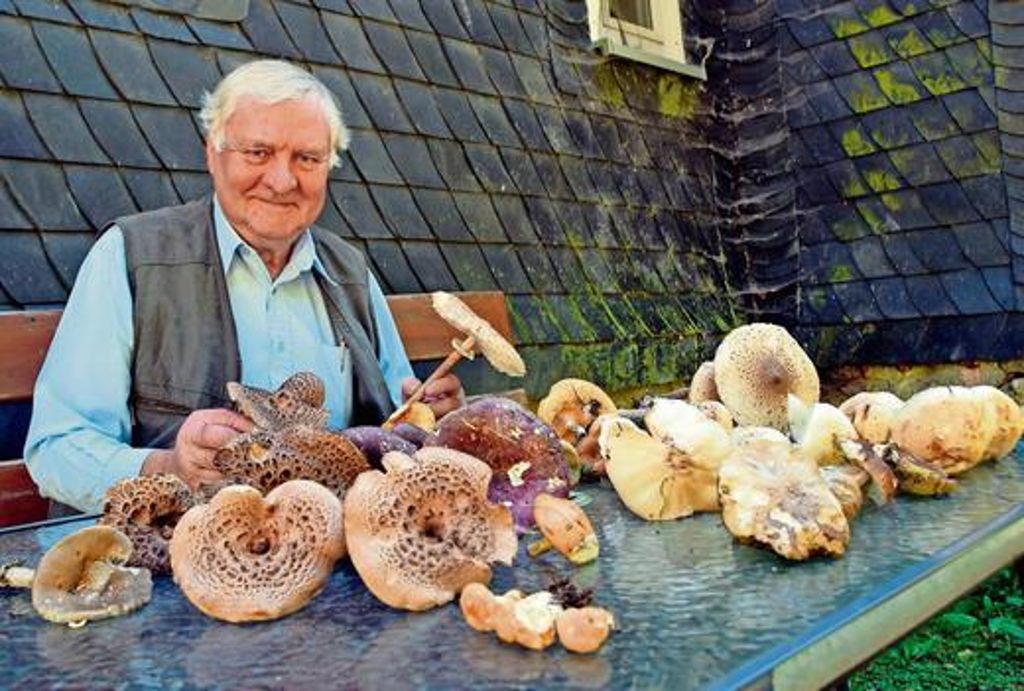 Peter Hofmanns Leidenschaft gilt den Pilzen. Seit Jahrzehnten sammelt er und berät als Sachverständiger. Fotos: Schunk/Bauroth/dpa/ari