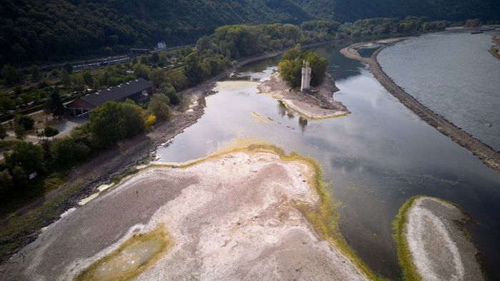 Trockenheit in Deutschland: Rheinpegel sinkt weiter - neuer historischer Tiefststand
