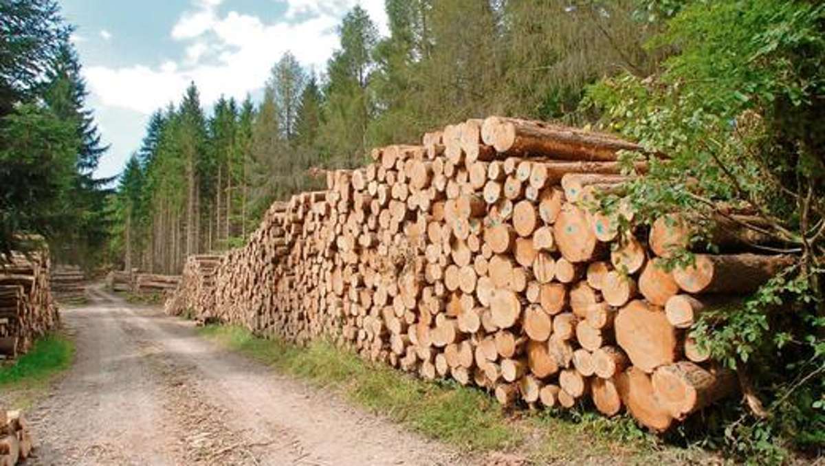 Meiningen: In Sachen Gemeindewald neue Wege gehen