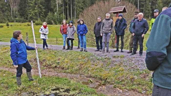 Naturschutzgroßprojekt: Wo 550 Kilometer Bergbäche fließen