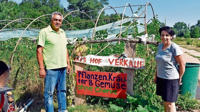 220 Sorten Tomaten wachsen in Ichtershausen