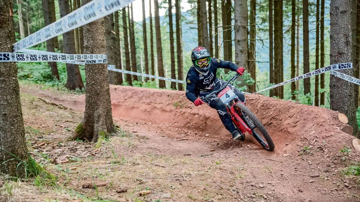 Ilmenau: Wo sich Ringeltaube, Zilpzalp und Mountainbiker den Wald teilen
