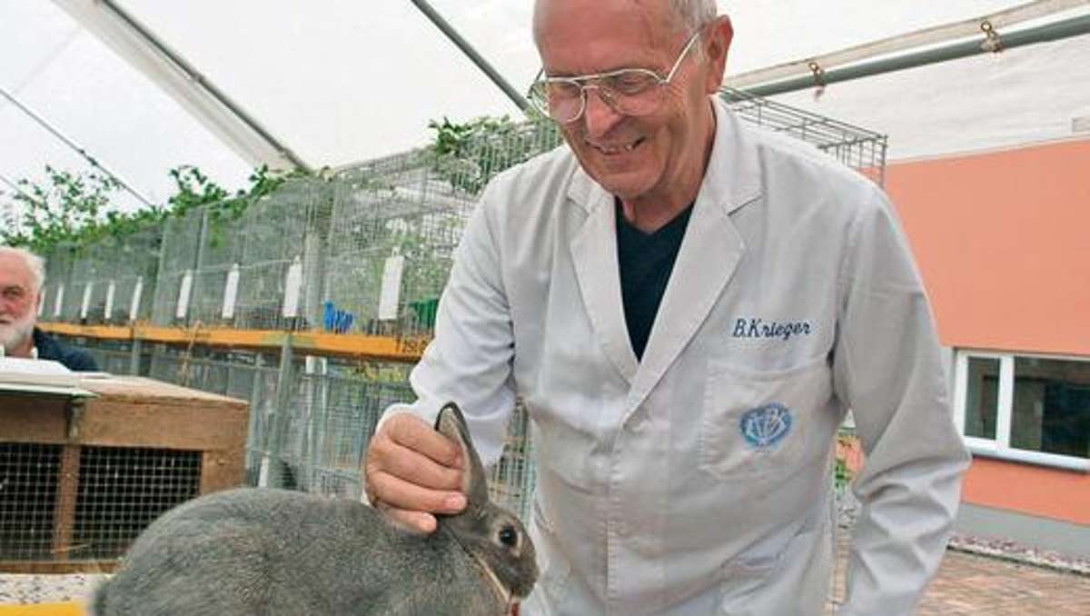 Ilmenau: Gefahr für Kaninchen durch Seuche aus Frankreich