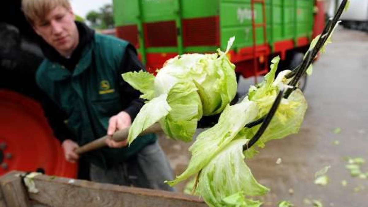 Thüringen: EHEC-Welle: Thüringen verstärkt Gemüsekontrollen