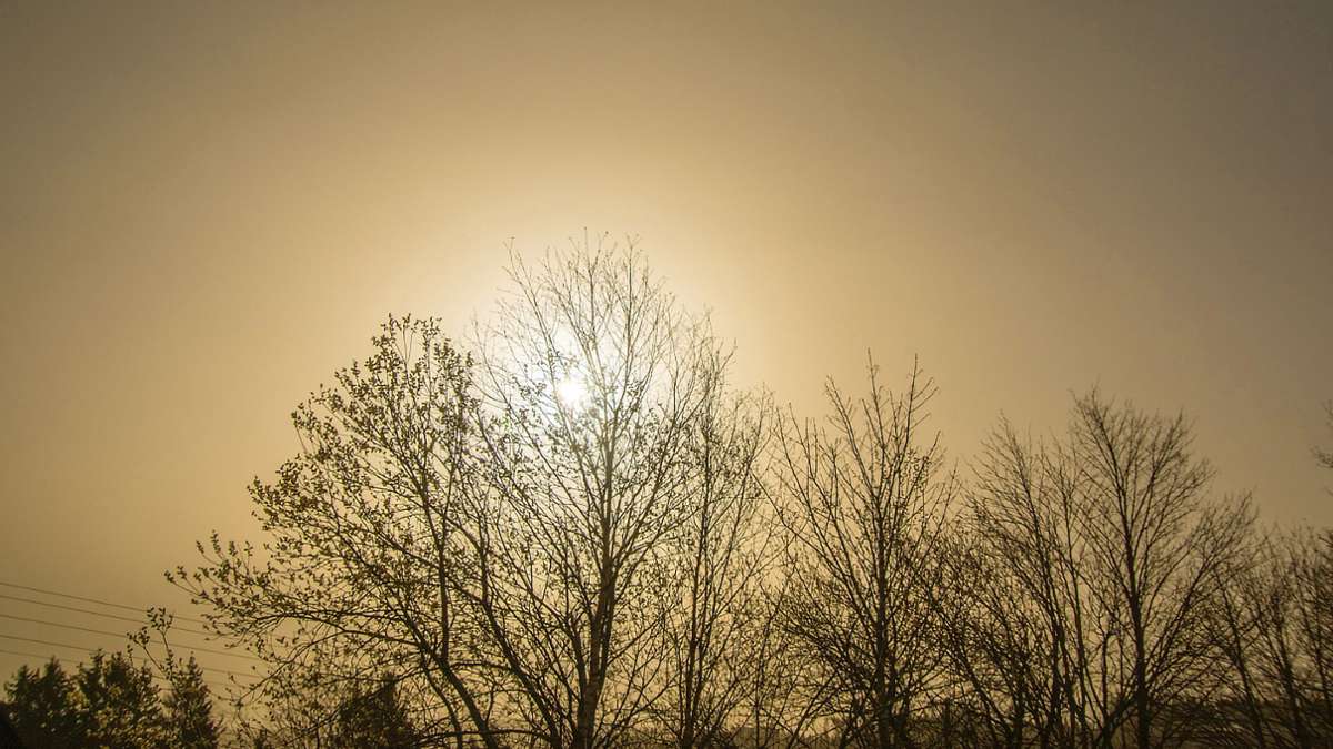 Wetter-Rückblick: Sonne satt am Frauentag