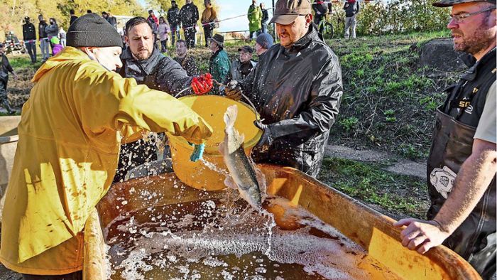 Fischerfest in Ilmenau: „Petri heil“: Silvester kann kommen