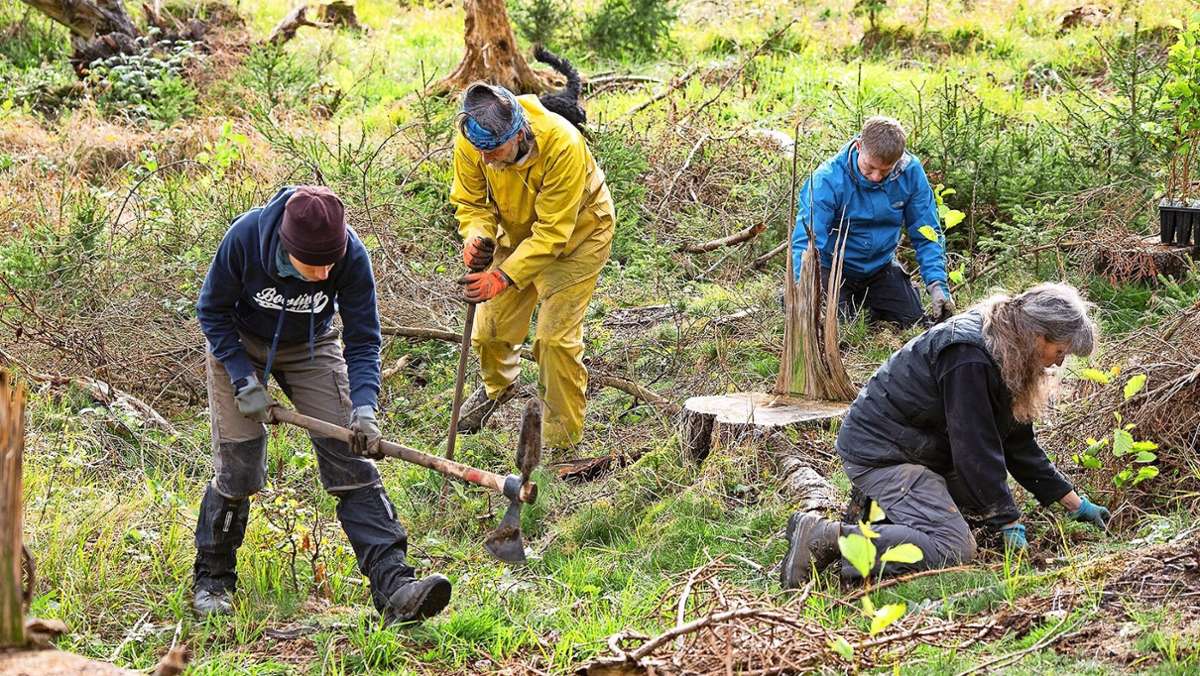 Freiwillige gesucht: Verein pflanzt 3000 Laubbäume am Arzberg