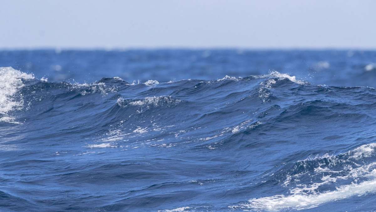 Beunruhigende Daten aus den Weltmeeren: Warme Ozeane – heißer Sommer
