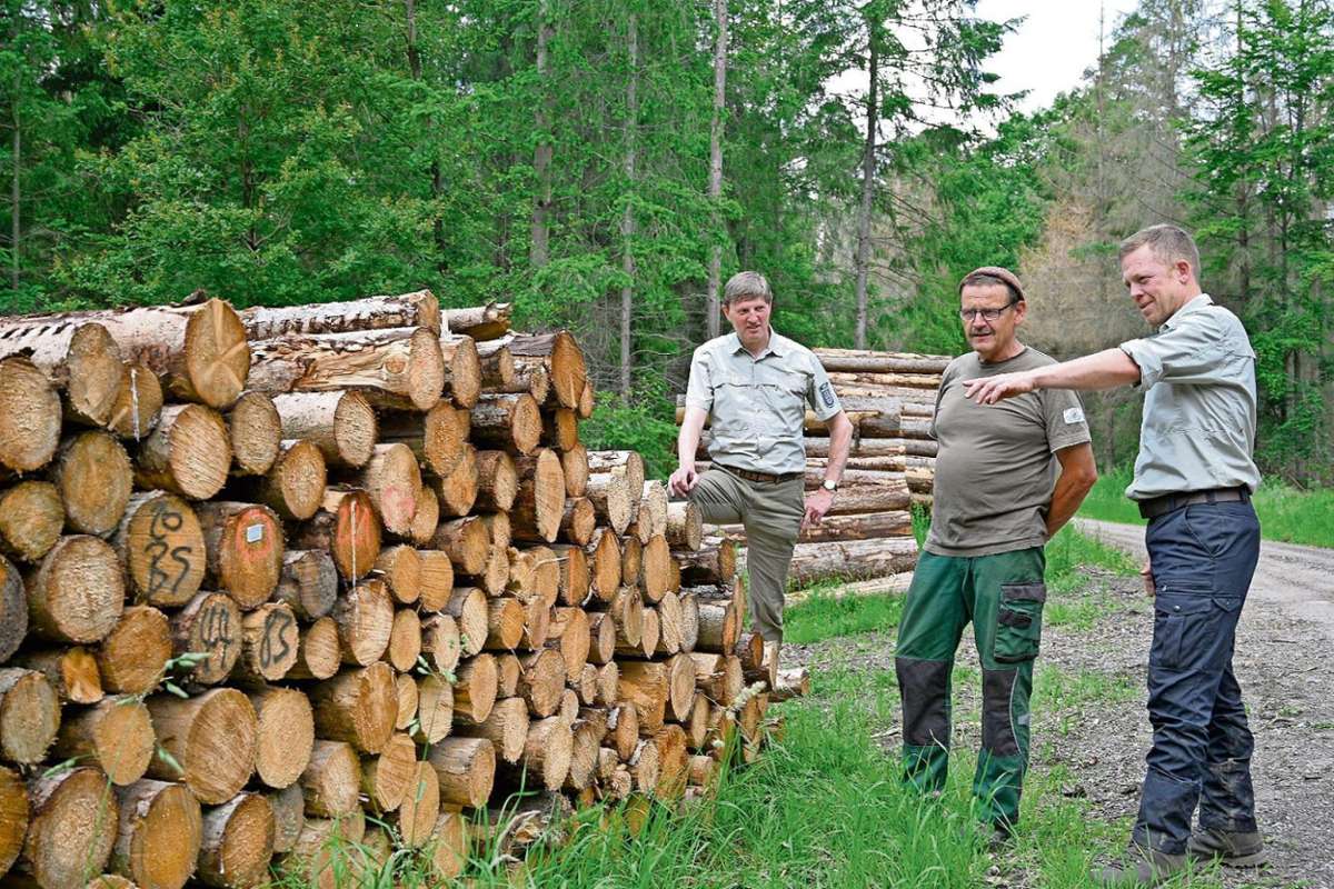 Jörn Uth, Andreas Ratz und Frank Hammerstein (von links) vor einem Energieholz-Stapel. Sie wollen eine Lanze für das Fichtenholz brechen. Fotos (2): Matz
