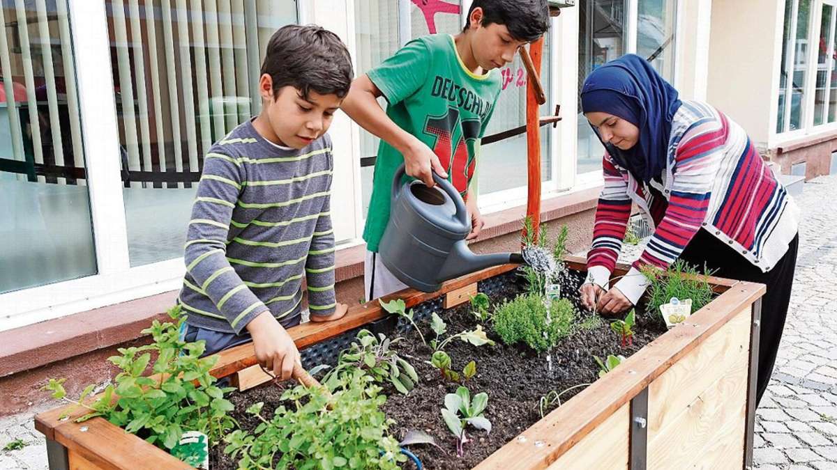 Zella-Mehlis: Kräuter und Gemüse to go für alle in der Stadt