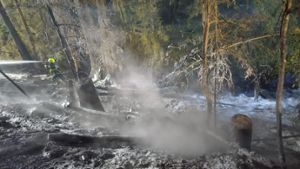 An A73: Feuerwehr muss Waldbrand löschen