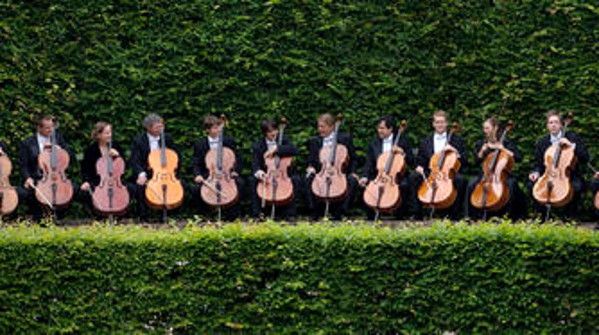 Kultur Meiningen: 12 Thüringer Cellisten im Einklang