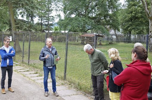 Gunther Kreuzberger und Erich Rindermann (von links) erläutern im Ilmenauer Tierpark die Entwicklungsmöglichkeiten zum Schulbauernhof. Foto: Uwe Appelfeller
