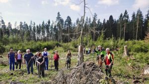 Aktion des Forsts: Neue Bäume bei Gräfinau gepflanzt