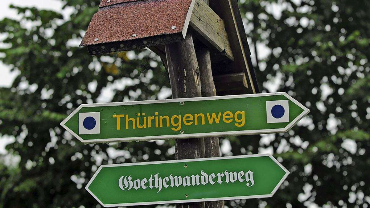 Borkenkäfer: Goethewanderweg teilweise gesperrt