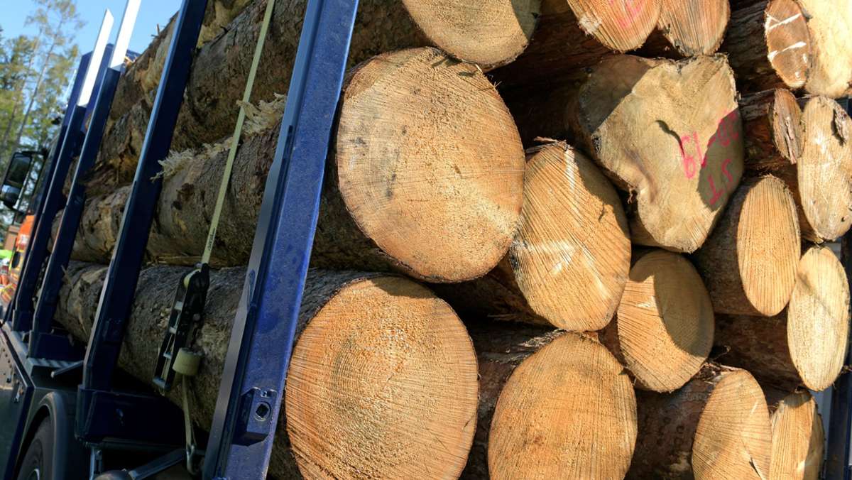Unfallflucht Schleusingen: Holzlaster rammt Gartenzaun