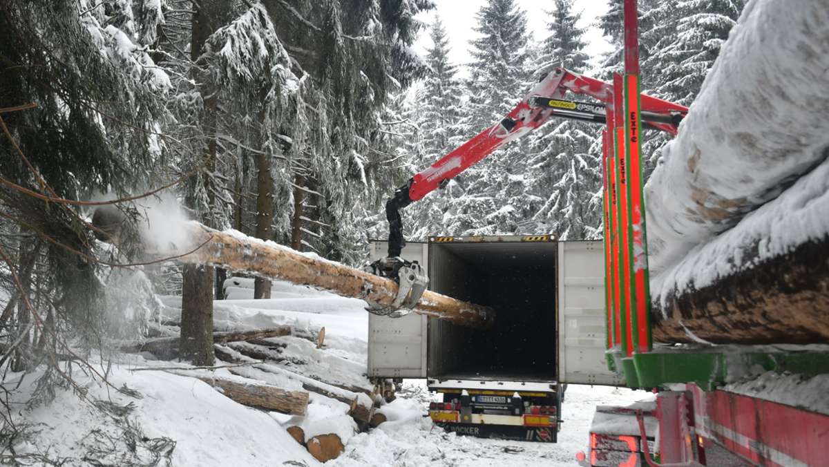 Holzwirtschaft: Der Thüringer Wald endet in China