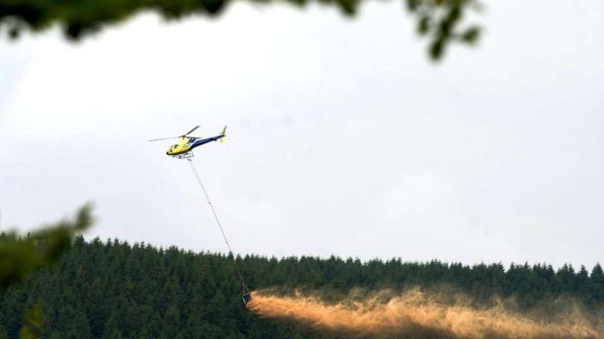 Thüringen: Kalk aus der Luft für 1800 Hektar übersäuerte Waldböden