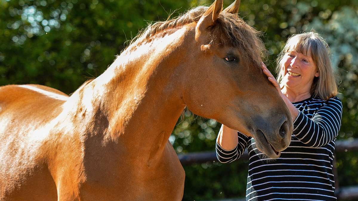 Pferdeklappe: Die letzte Hoffnung für arme Pferde