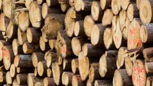 Wird Suhl zum Zentrum der Thüringer Holz-Wirtschaft?