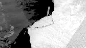 Wissenschaft: Großer Eisberg von Antarktis-Schelfeis abgebrochen