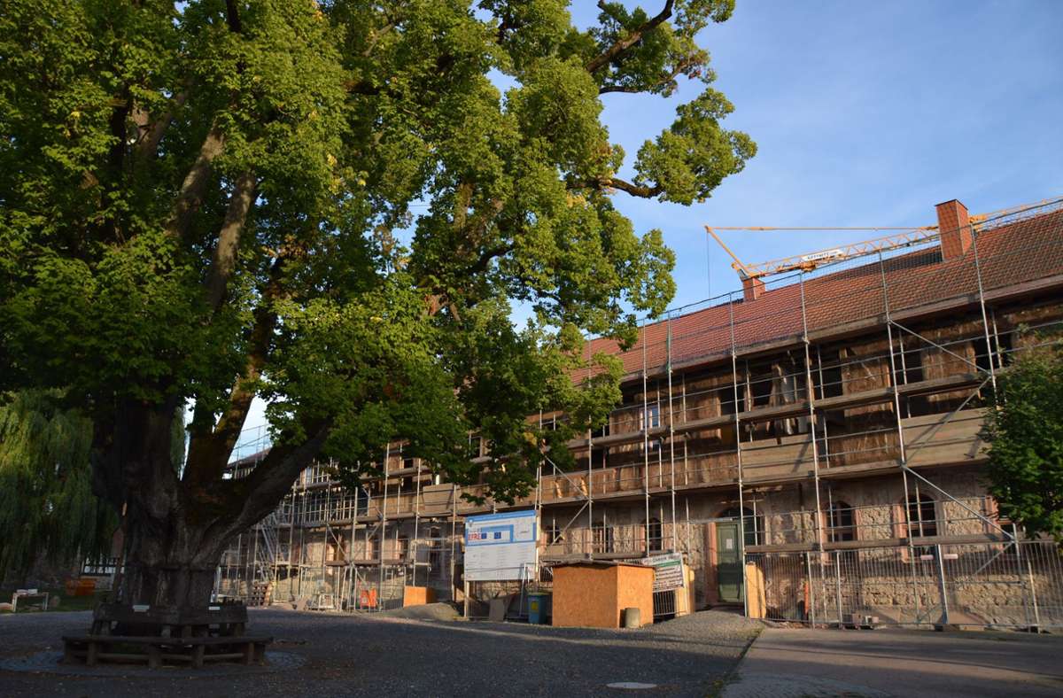 Eines der Großprojekte, für die Kaltennordheim noch auf einen Teil des Fördergeldes wartet, ist die Schloss-Sanierung. Foto: Iris Friedrich