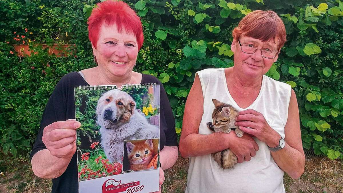 Ilmenau: Neue Tierschutz-Kalender nun erhältlich