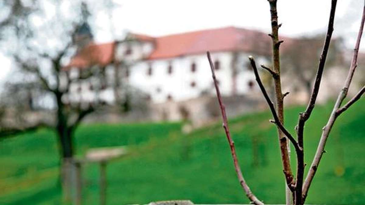 Schmalkalden: Bäume von edler Herkunft auf Schloss Wilhelmsburg