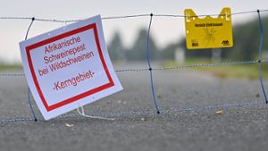 Tierseuchenschutz: Thüringen probt Umgang mit der Schweinepest