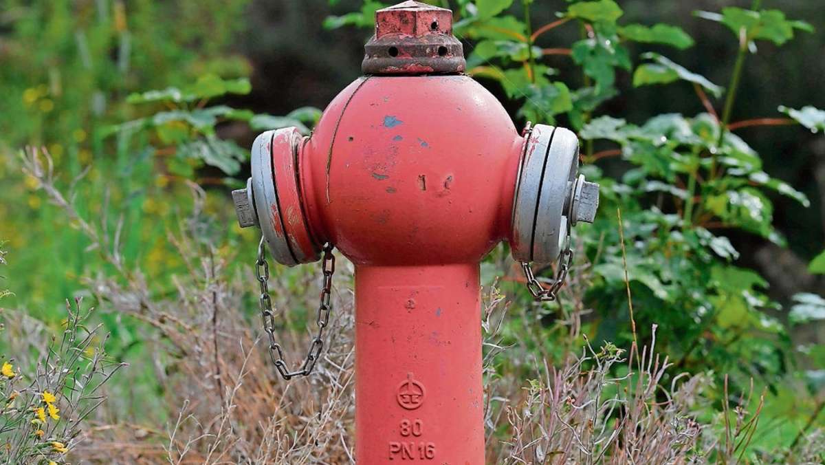 Hellingen: Jetzt werden alle Hydranten erfasst