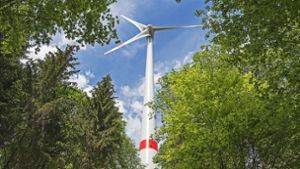 Kreistagswahl: Grüne für Windkraft, aber mit Naturschutz
