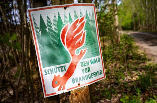 Ja, auch in Thüringen steigt bei Hitze die Waldbrandgefahr, doch im Unterschied zu den Städten ist es im Wald deutlich kühler. Foto: dpa/Stefan Sauer