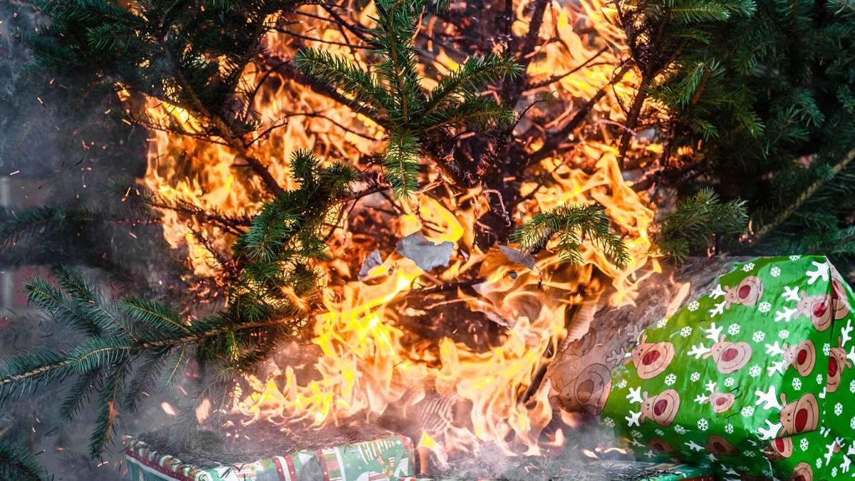 Suhl/ Zella-Mehlis: Familienvater wirft brennenden Weihnachtsbaum aus Fenster