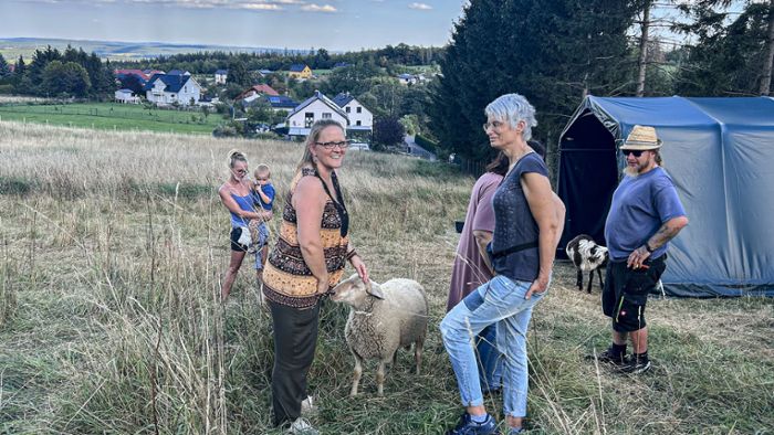 Glücksfarm Oehrenstock: Erfolgreicher Besuchertag mit Schafen und Ponys