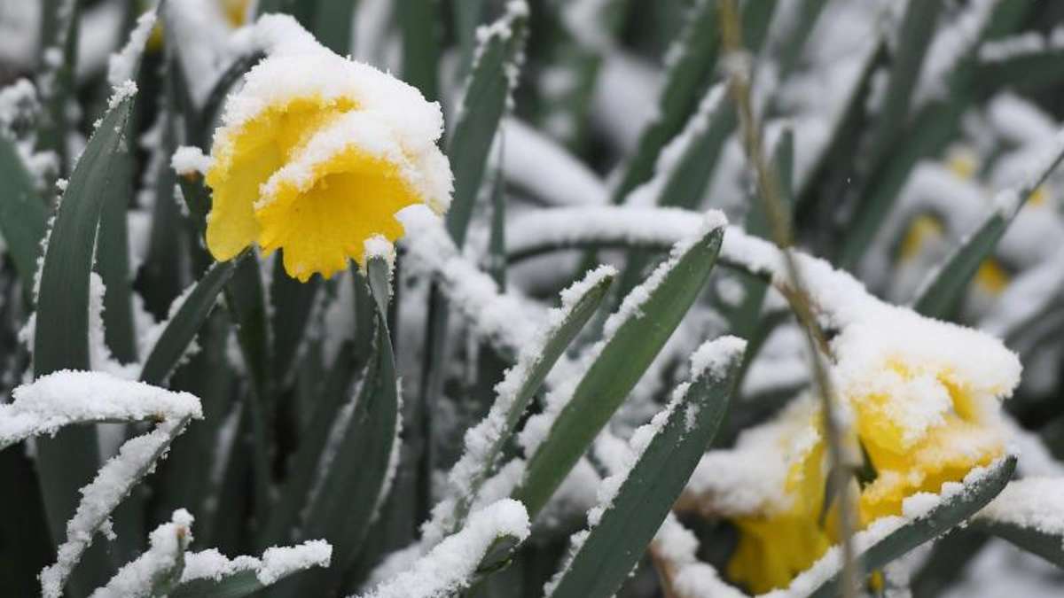 Thüringen: Schneeschauer im Frühling - kühler März in Thüringen