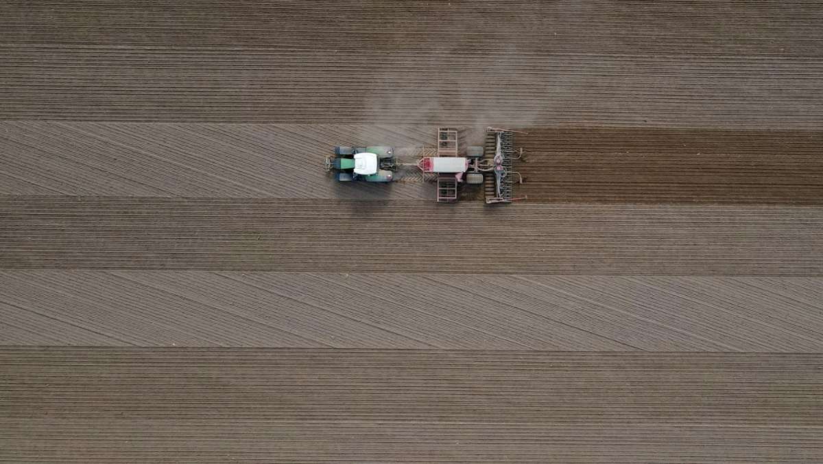 Agrar: Ostdeutsche Bauern fordern weiteren Verkauf von Flächen