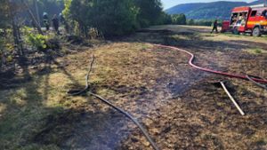 Feldbrand am Knüllfeld: Feuerwehr verhindert Schlimmeres