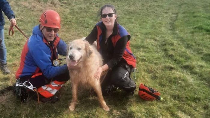 Ungewöhnlicher Einsatz: Hund aus Kanalrohr gerettet