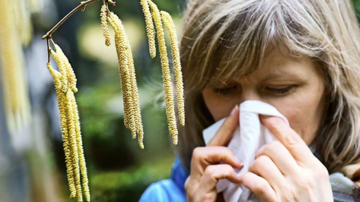 Start der Heuschnupfen-Saison: Die  Pollen fliegen wieder