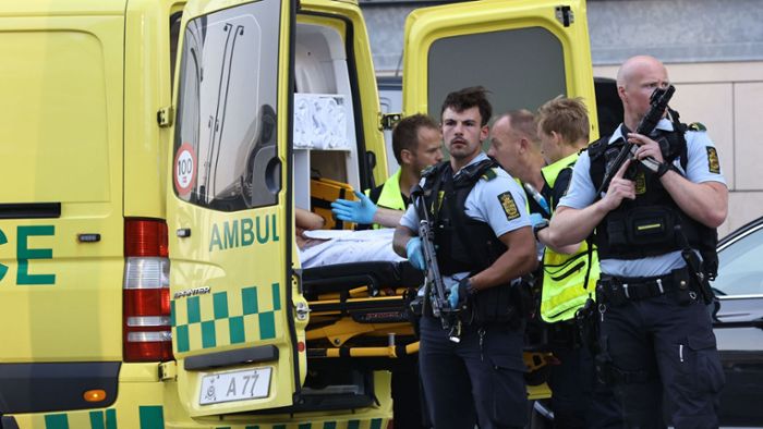 Schüsse in Kopenhagen: Mehrere Tote in Einkaufszentrum – eine Festnahme