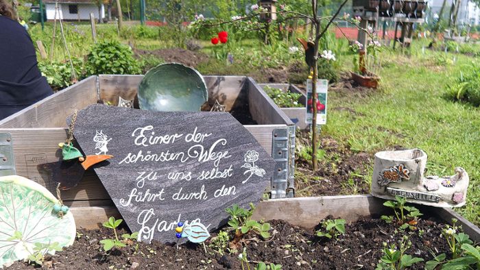 Zehn Jahre Stadtgarten: Ein offener Garten für alle