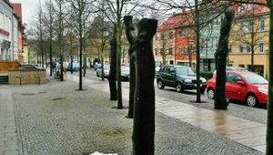Kunstweg-Bäume in Ilmenau verschwinden